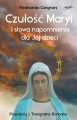 Czułość Maryi i słowa napomnienia dla Jej dzieci Ferdinando Carignani.webp